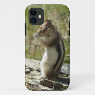 氷河の公園で金のマントルの地面リス iPhone 11 ケース