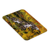 氷河の国の山の大砲の下の滝 マグネット (右側)