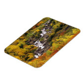 氷河の国の山の大砲の下の滝 マグネット (左側)