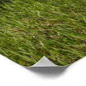 氷河の国立公園でスイフトカレント湖ビュー ポスター (角)