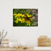 氷河の国立公園のコンマ蝶 ポスター (キッチン)