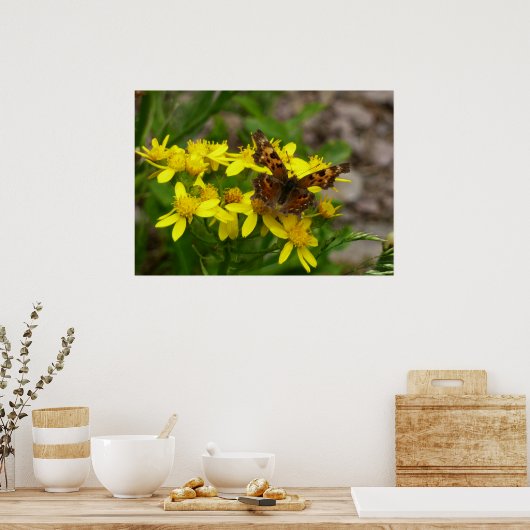 氷河の国立公園のコンマ蝶 ポスター (キッチン)