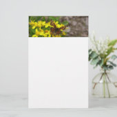 氷河の国立公園のコンマ蝶 便箋 (スタンド正面)