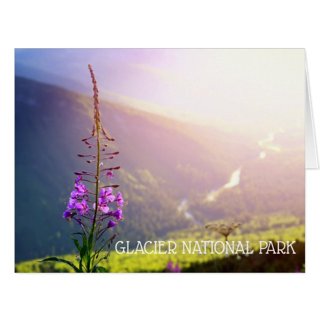 氷河の国立公園のFireweed (正面横)