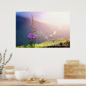 氷河の国立公園のFireweed ポスター (キッチン)