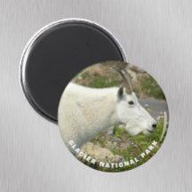 氷河の国立公園マウンテンヤギの写真