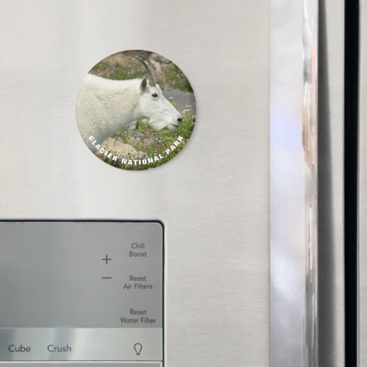 氷河の国立公園マウンテンヤギの写真 マグネット (インサイチュ (冷蔵庫))