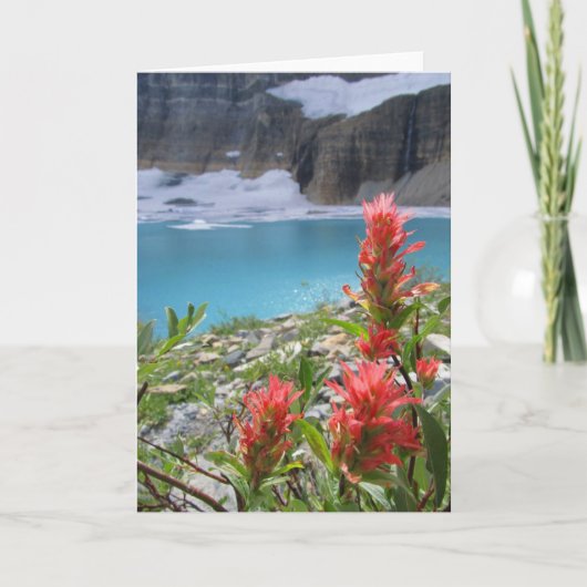 氷河の国立公園 カード (正面)