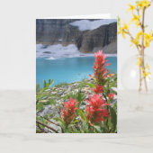 氷河の国立公園 カード (黄色い花)