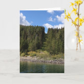 氷河の国立公園 カード (黄色い花)