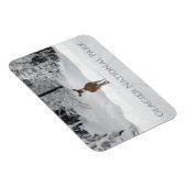 氷河の国立公園、雪の中の鹿 マグネット (右側)