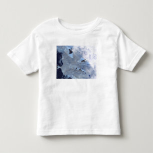 氷河の小さい分野はバフィン湾を囲みます トドラーTシャツ