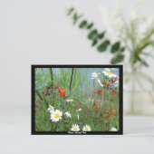 氷河の山花 ポストカード (スタンド正面)