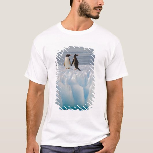 氷河の氷の上のgentoo penguin, Pygoscelisパプア Tシャツ (正面)