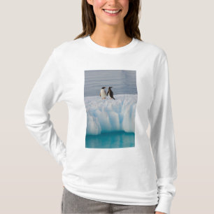 氷河の氷の上のgentoo penguin, Pygoscelisパプア Tシャツ