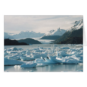 氷河の氷山