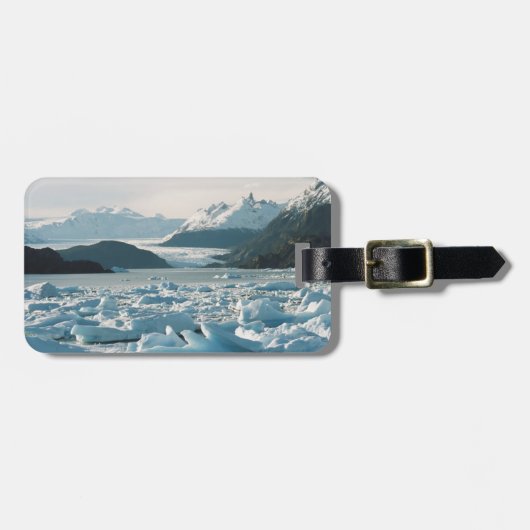 氷河の氷山 ラゲッジタグ (正面横)
