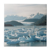 氷河アイセベルグス タイル (正面)