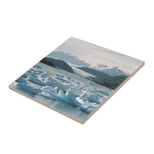 氷河アイセベルグス タイル (側面)