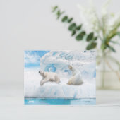 氷河ベア – ポストカード (スタンド正面)