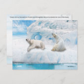 氷河ベア – ポストカード (正面/裏面)