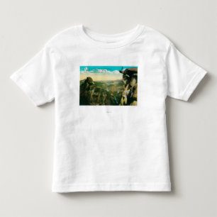 氷河ポイント、半分のドームおよびヨセミテの谷 トドラーTシャツ