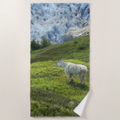 氷河ヤギ – ビーチタオル (正面)