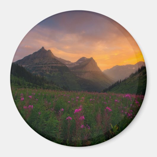 氷河ワイルドフラワー マグネット (正面)