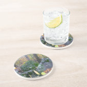 氷河大きい石モンゴメリーカウンティペンシルニア コースター (側面)