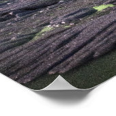 氷河湖の上のオーロラ ポスター (角)