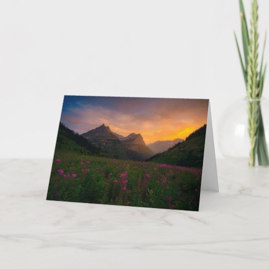 氷河野生の花 カード (正面)