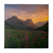 氷河野生の花 タイル (正面)