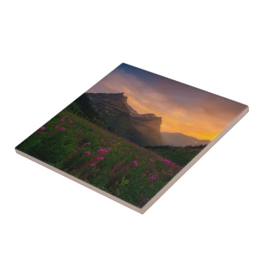 氷河野生の花 タイル (側面)