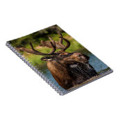 氷河食べ物を与え国立公園のブルムース ノートブック (右側)