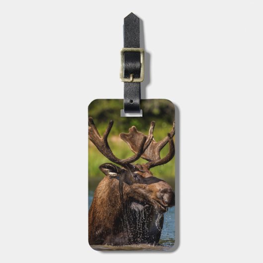 氷河食べ物を与え国立公園のブルムース ラゲッジタグ (正面縦)