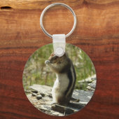 氷河Iの黄金のマントルの地面リス キーホルダー (正面)