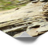 氷河Iの黄金のマントルの地面リス ポスター (角)