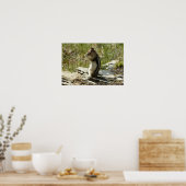 氷河Iの黄金のマントルの地面リス ポスター (キッチン)