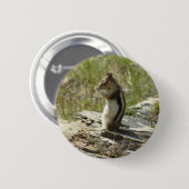 氷河Iの黄金のマントルの地面リス 缶バッジ (正面&裏面)