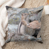 氷河IIの黄金のマントルの地面リス クッション (ブランケット)