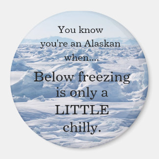 氷点下….. マグネット