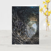 氷穴の針状の穴 カード (黄色い花)