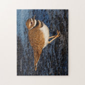 氷素晴らしの泥の上でショアバードを殺す ジグソーパズル (縦)