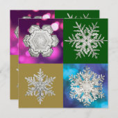氷結晶スノーフレーク数々の形状 – カラー シーズンカード (正面/裏面)
