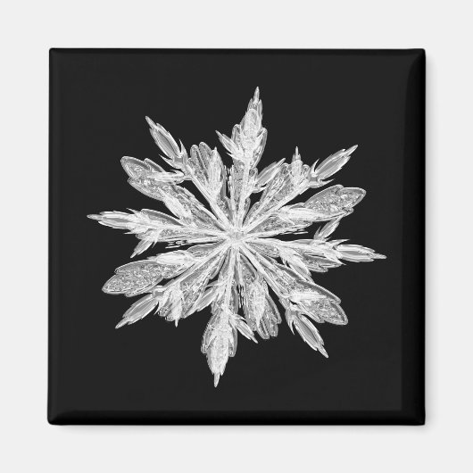 氷結晶スノーフレーク マグネット (正面)