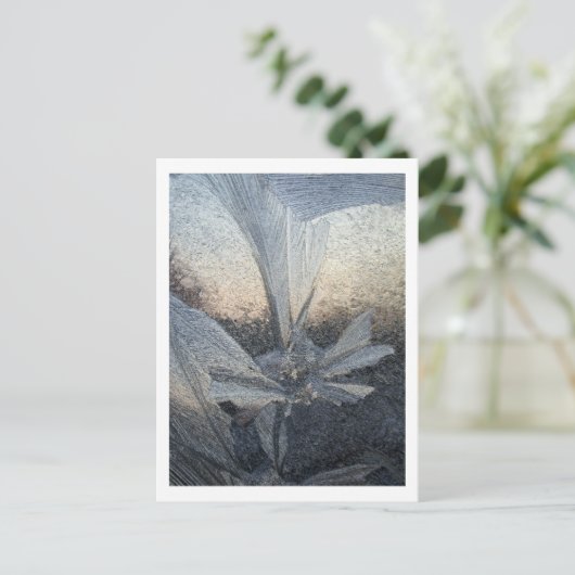 氷花 ポストカード (スタンド正面)