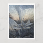 氷花 ポストカード (正面)