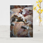 氷葉 カード (黄色い花)