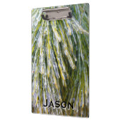 氷被覆松針冬植物学 クリップボード (左)