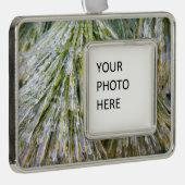 氷被覆松針冬植物学 シルバープレートフレームオーナメント (右)